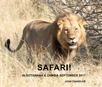 Safari! book cover