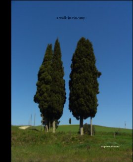 a walk in tuscany book cover