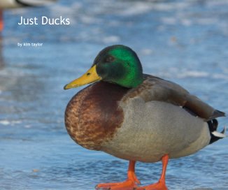 Just Ducks book cover