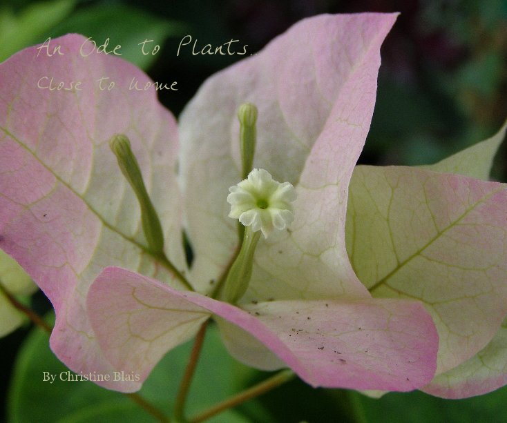 View An Ode to Plants... by Christine Blais