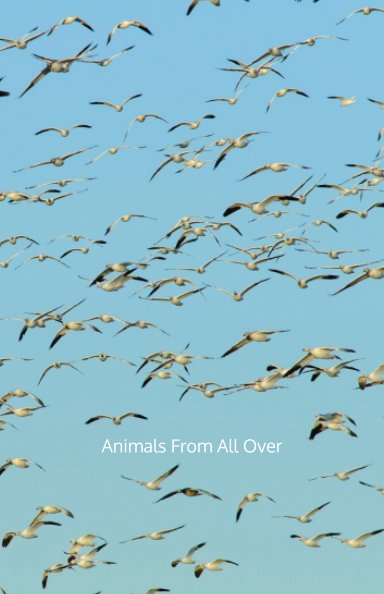 View Animals From All Over by Jerry Redfern and Karen Coates