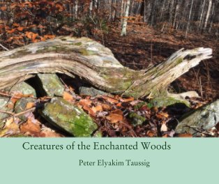 Creatures of the Enchanted Woods book cover
