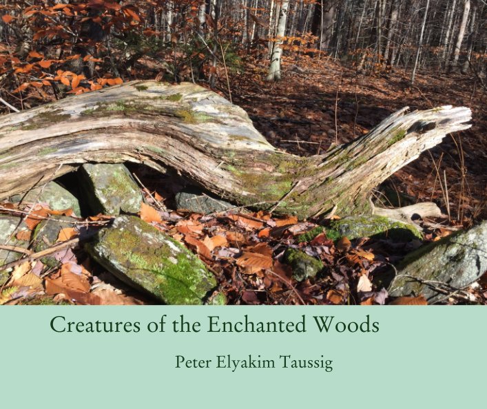 View Creatures of the Enchanted Woods by Peter Elyakim Taussig