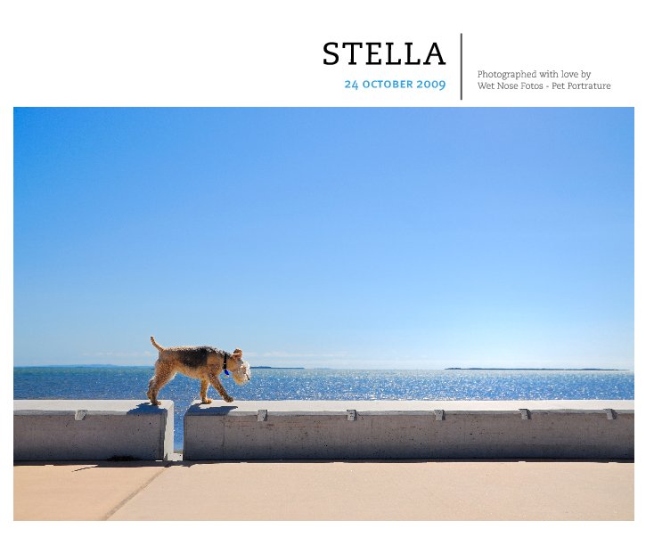 View Stella by Wet Nose Fotos