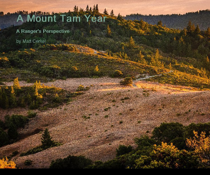 A Mount Tam Year nach Matt Cerkel anzeigen