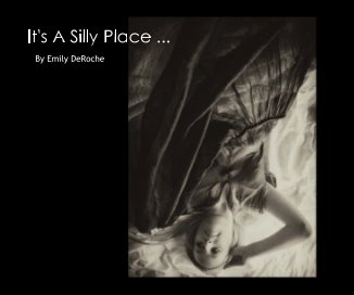 It's A Silly Place ... book cover