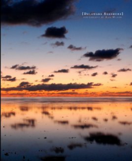 Delaware Seashore book cover