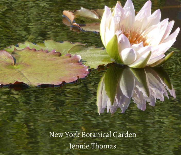 Favourite Gardens nach Jennie Thomas anzeigen