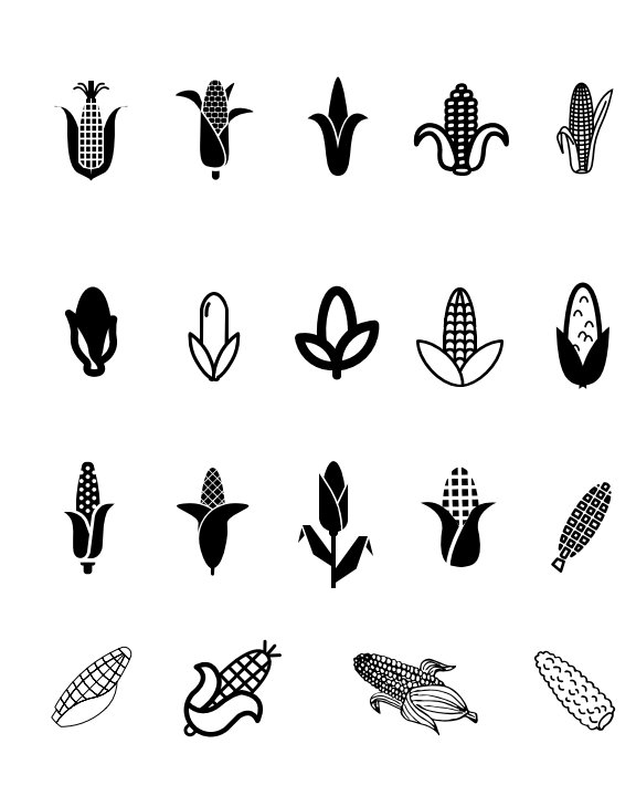 Corn Mini-Thesis Publication (Final) by Chris Fanelli | Blurb Books ...