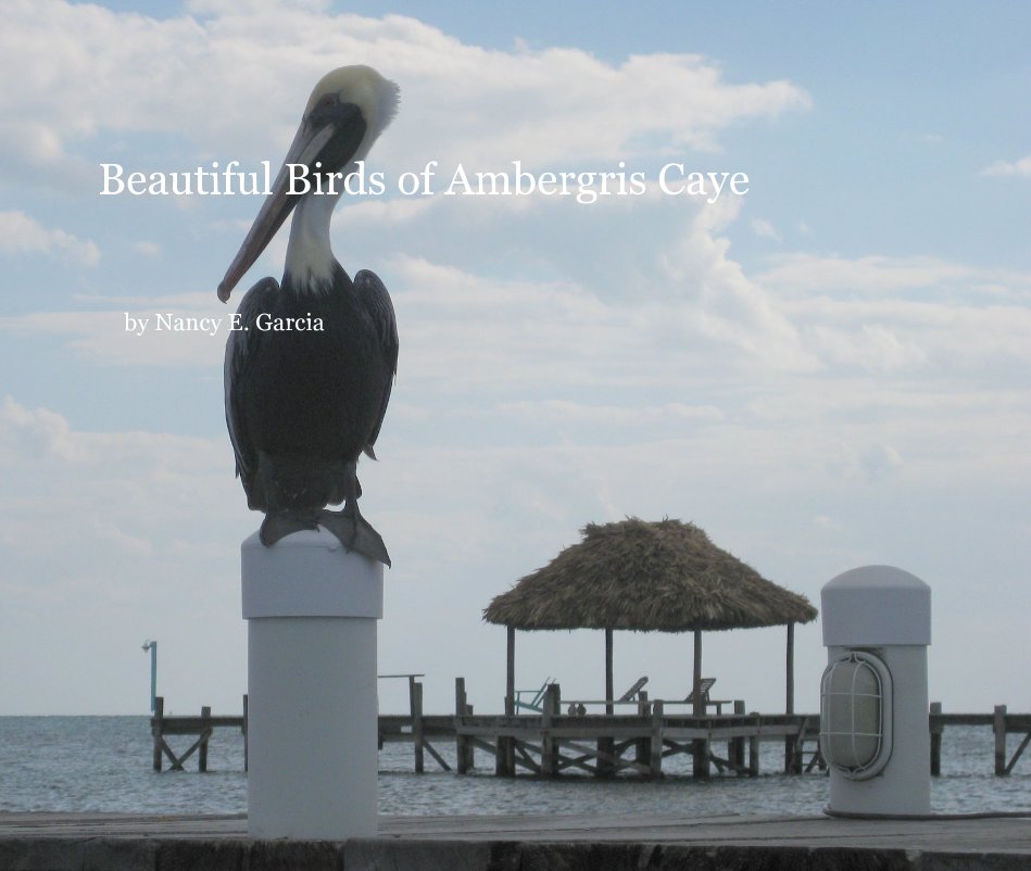 View Beautiful Birds of Ambergris Caye by Nancy E. Garcia