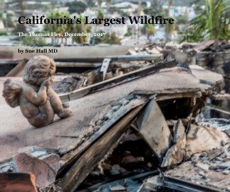 California's Largest Wildfire book cover