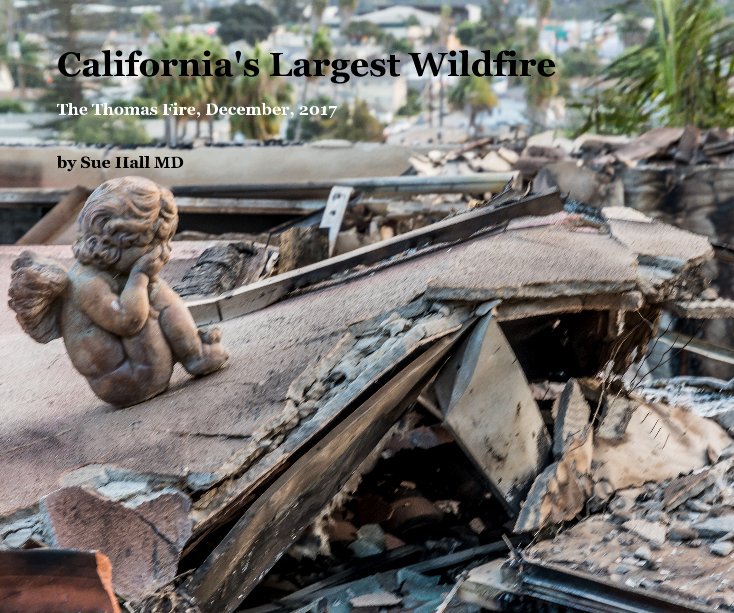 Ver California's Largest Wildfire por Sue Hall MD