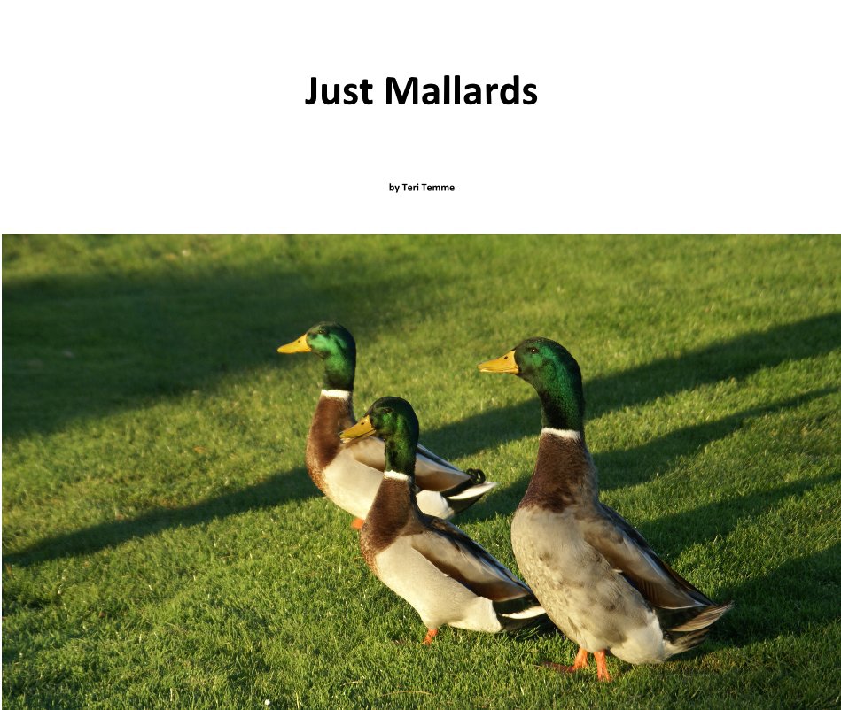 View Just Mallards by Teri Temme