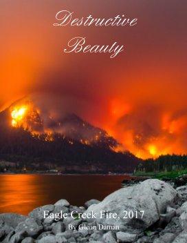 Destructive Beauty: Eagle Creek Fire, 2017 book cover
