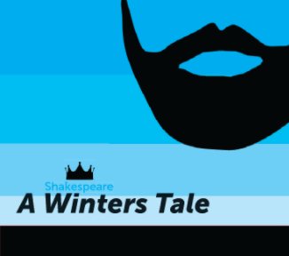 A Winters Tale book cover
