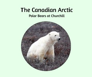 The Canadian Arctic - Polar Bears at Churchill book cover