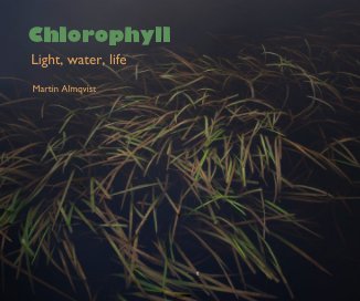 Chlorophyll book cover
