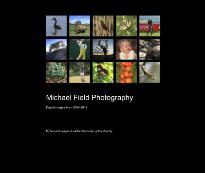 Michael Field Photography Digital images from 2004-2017 book cover