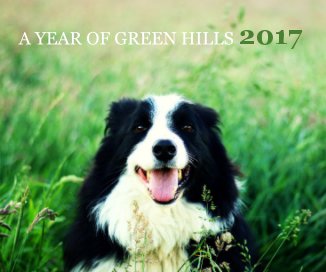 A Year of Green Hills 2017 book cover