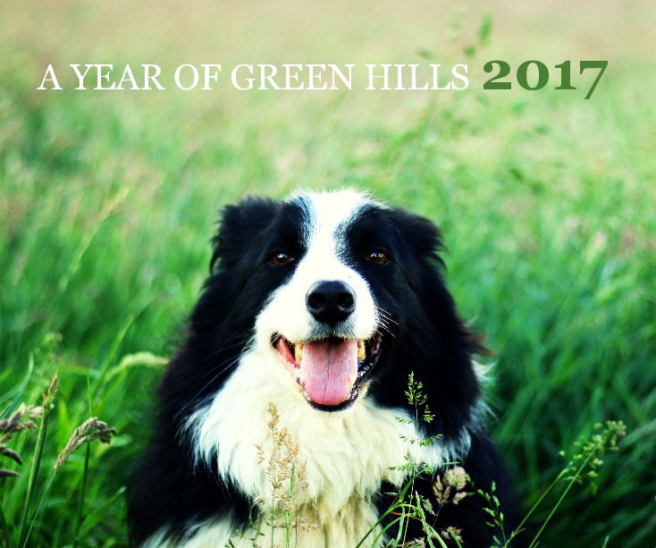 View A Year of Green Hills 2017 by Ruth McCracken