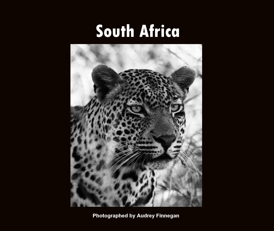 View South Africa by Audrey Finnegan
