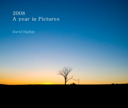 2008 A year in Pictures book cover