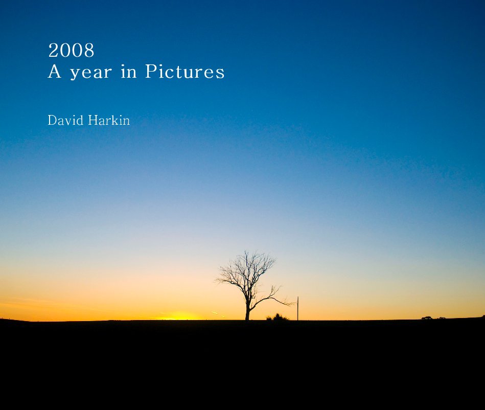 View 2008 A year in Pictures by David Harkin