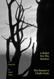 A Bullet For The Senator - The Senator's Chalk Circle book cover