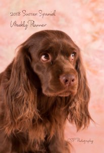 2018 Sussex Spaniel Weekly Planner book cover