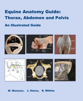 Equine Anatomy Guide: Thorax, Abdomen and Pelvis book cover