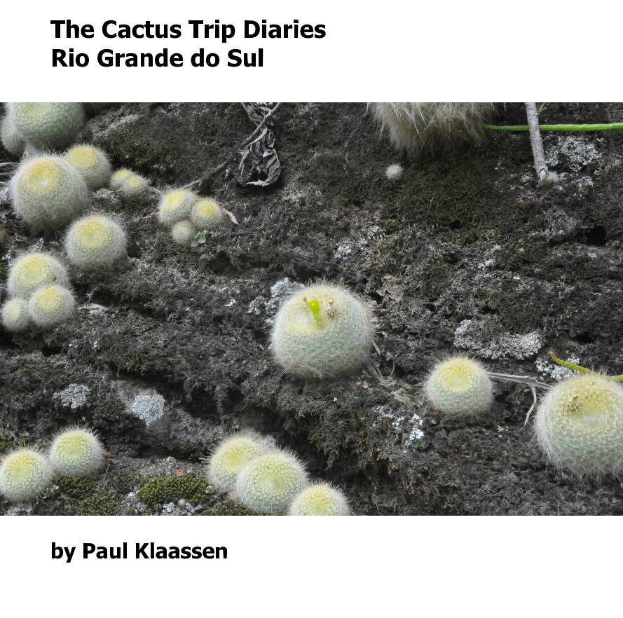 View The Cactus Trip Diaries Rio Grande do Sul by Paul Klaassen