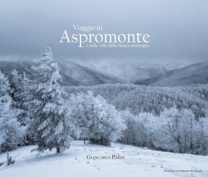 Viaggio in Aspromonte book cover