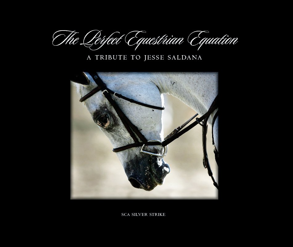 View The Perfect Equestrian Equation by Jayme Mitchel