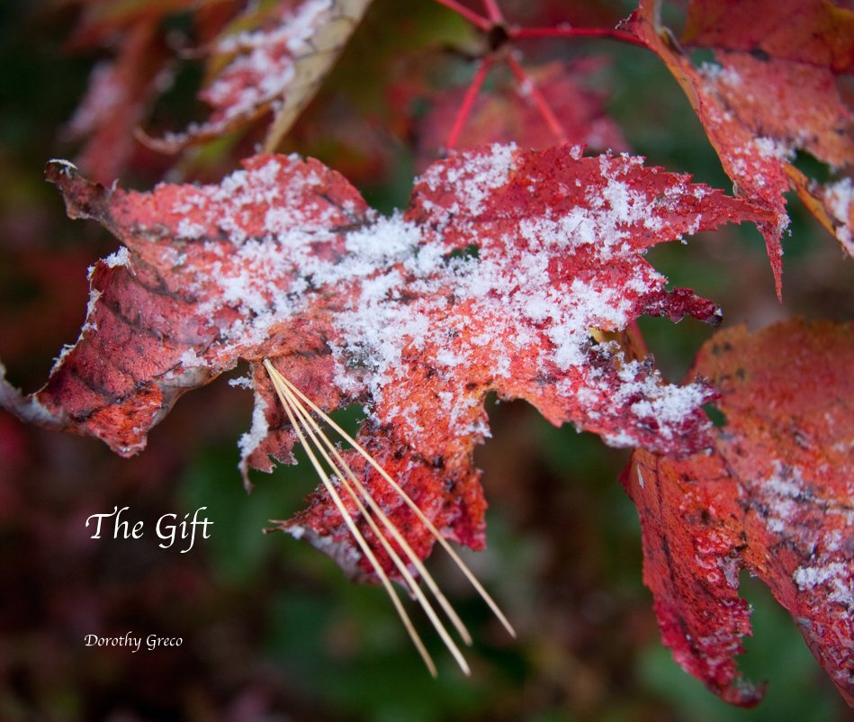 View The Gift by Dorothy Littell Greco