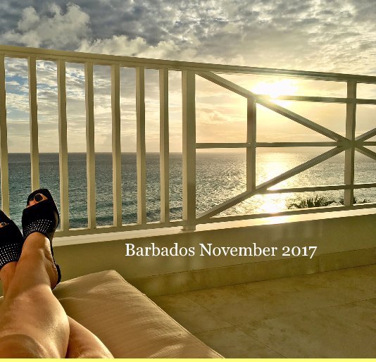 View Barbados November 2017 by Vicki Dyson