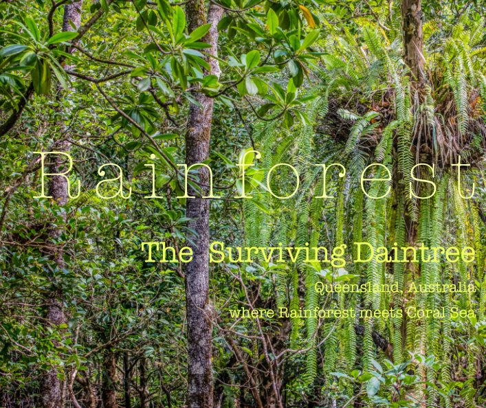 View The Surviving Daintree by maryellen aoibhell stewart