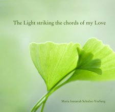The Light striking the chords of my Love book cover