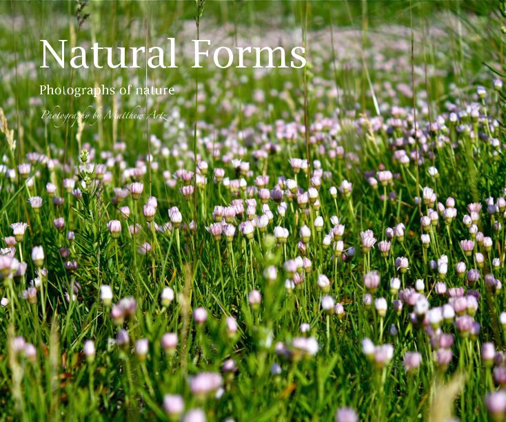 View Natural Forms by Matthew Artz