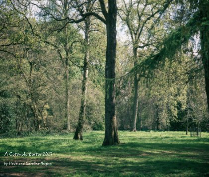 A Cotswold Easter 2017 book cover