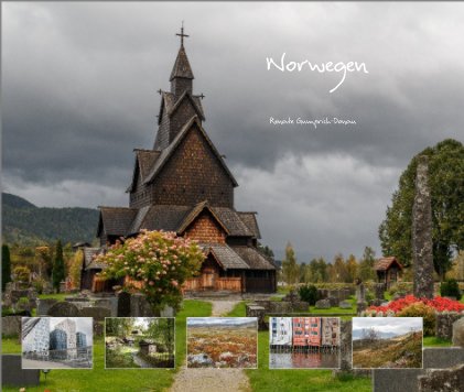Norwegen book cover