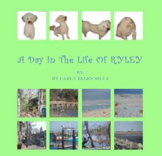 A Day In The Life Of RYLEY By Carly Silva book cover