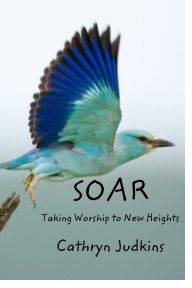 SOAR book cover