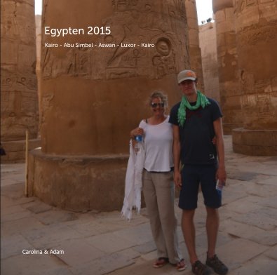 Egypten 2015 Kairo - Abu Simbel - Aswan - Luxor - Kairo book cover