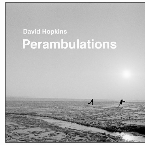 View Perambulations by David Hopkins