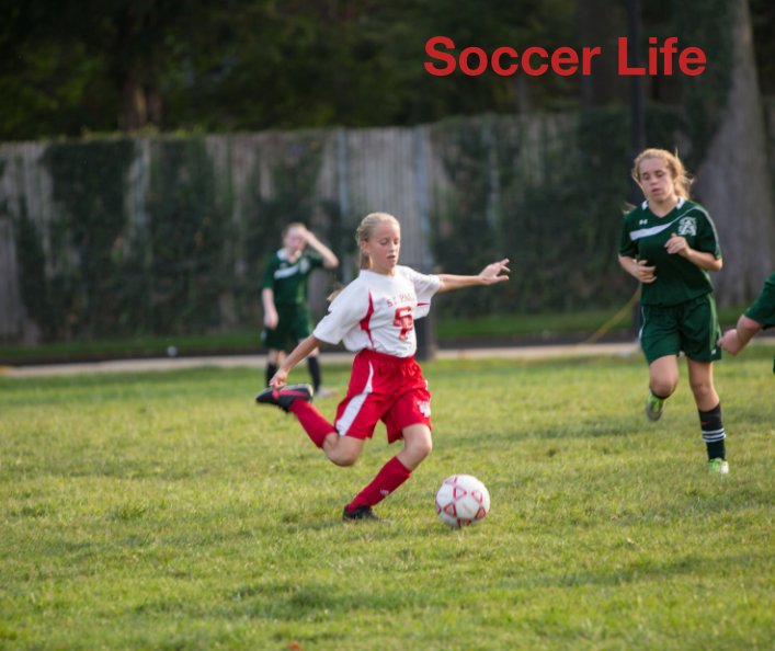 View Soccer Life by gripdog