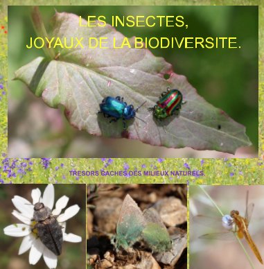Les insectes, joyaux de la biodiversité. book cover