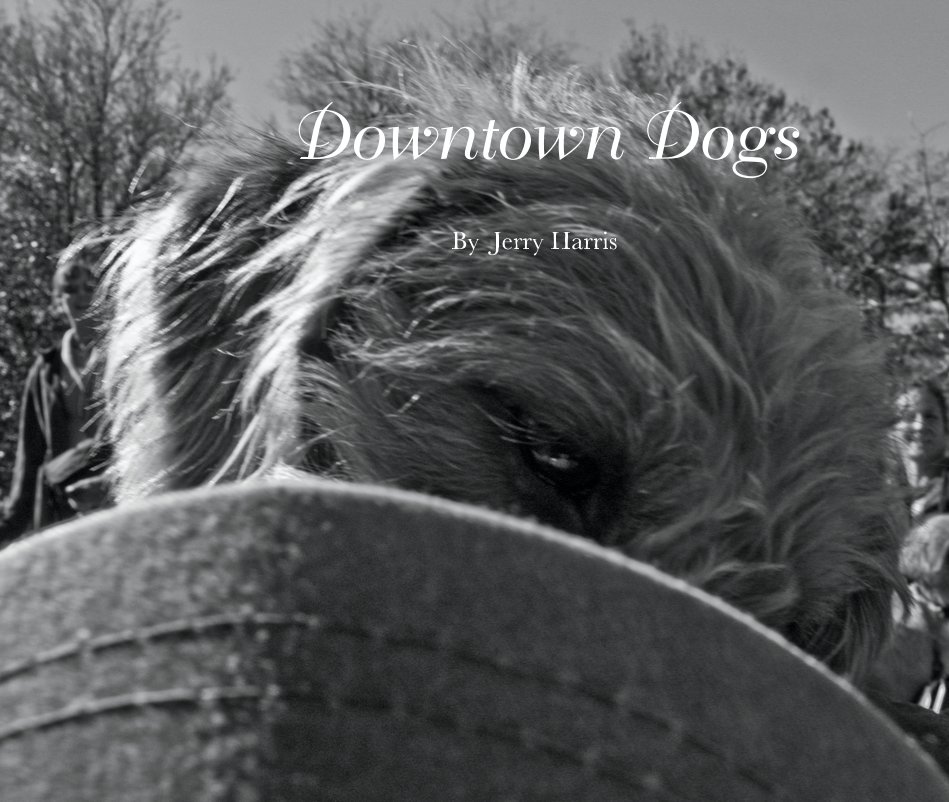 View Downtown Dogs by Jerry Harris