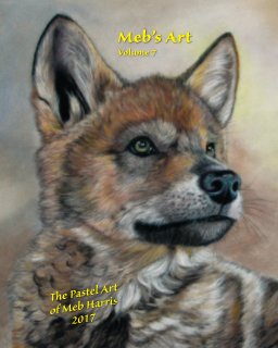 Meb's Art Volume 7 book cover