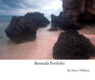 Bermuda Portfolio book cover