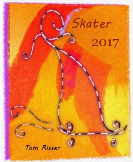 Skater 2017 book cover